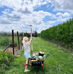 Breipatroontje Sophia marini&egrave;re met streepjes