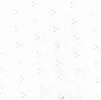 broderie dots - double gauze
