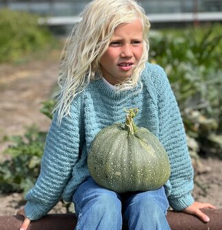 Breipatroontje Courgette