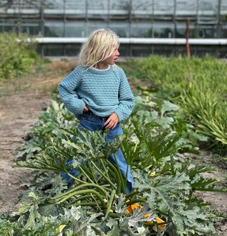 Breipatroontje Courgette