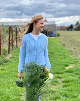 Breipatroontje venkel trui