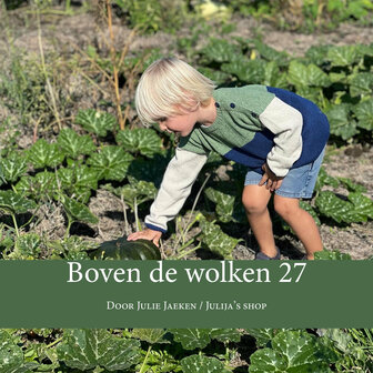 Boven de wolken 27 (papieren boekje)