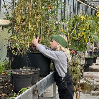 Breipakket Vio haarband (groen)