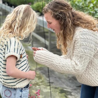 Breipatroontje Aliz&eacute;e met brede boorden 