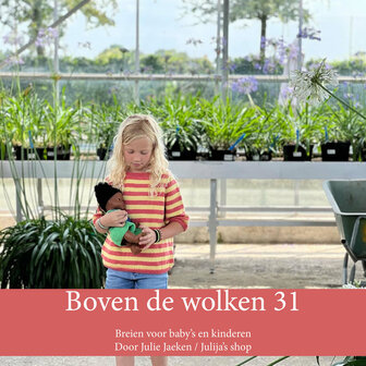 Boven de wolken 31 (papieren boekje)