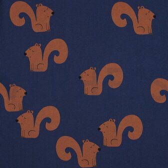 eekhoorn - sweater