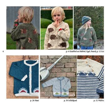 Boven de wolken 42 (papieren boekje)