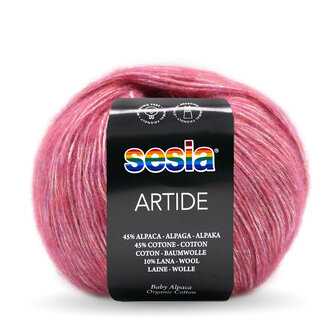 Artide 0495 Sesia