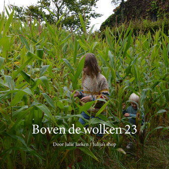 Boven de wolken 23 (papieren boekje) (laatste 4 pagina's ontbreken)