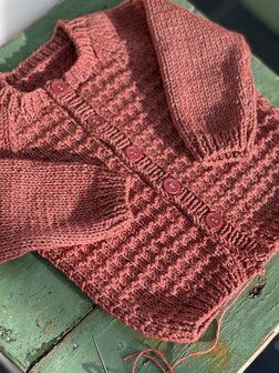 Breipatroon Lou cardigan NL