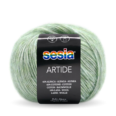 Artide 3804 Sesia