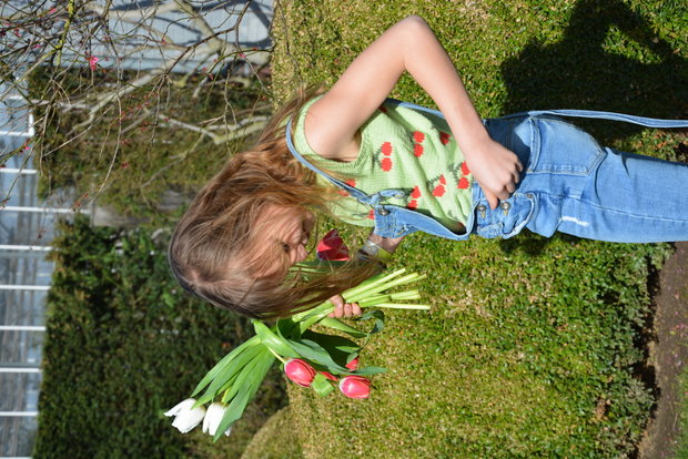 Breipatroontje Cherry top NL