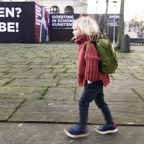 Breipatroontje Honingbij en Mier