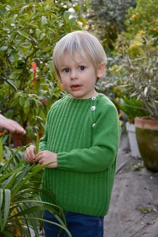 Breipatroon Cactus met fanatiesteek