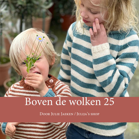 PRE-ORDER Boven de wolken 25 (papieren boekje)