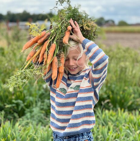 Breipatroontje Carotte