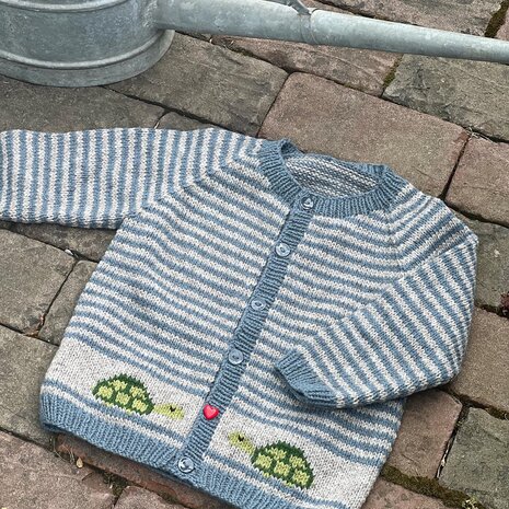 Breipatroontje Carotte cardigan