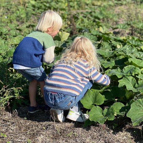 Breipatroontje Rode biet