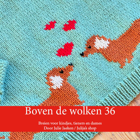 Boven de wolken 36 (digitaal boekje)