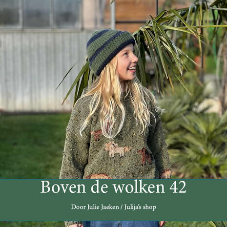 Boven de wolken 42 (papieren boekje)