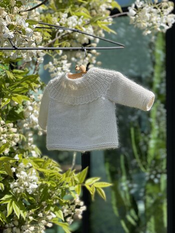 Breipatroon Stien cardigan NL