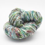 Cowgirlblues Aran karma chameleon