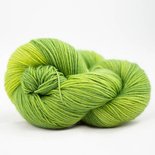 lazy lion sock yarn summer green 0012