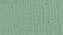 geborduurde double gauze oud groen - double gauze