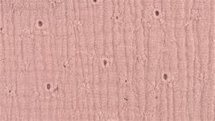 geborduurde double gauze licht roze - double gauze