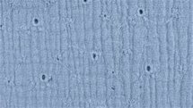 geborduurde double gauze jeans blauw - double gauze