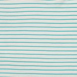coupon 78 stripes aqua - spons sweater