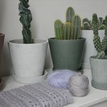 Breipakket Lavender