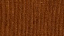babyrib smal camel - corduroy