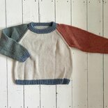 trui gekleurde mouwen maat 8/10 jaar