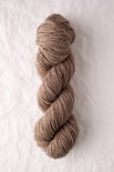 Chicadee caspian