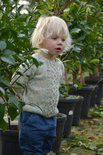 Cardigan en truitje met kabel