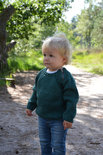savanne buffel