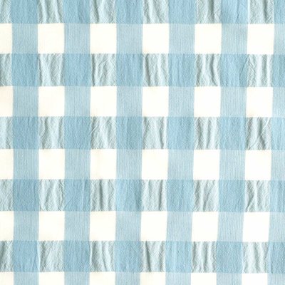 Vishy ruit blauw - katoen