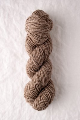 Chicadee caspian