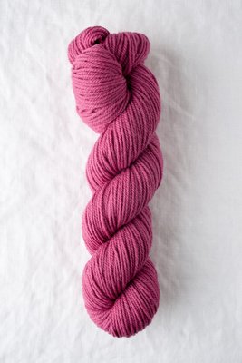 Chicadee sorbet