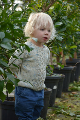 Cardigan en truitje met kabel