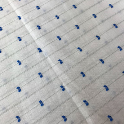 wit met blauw lijntjes - plumetis