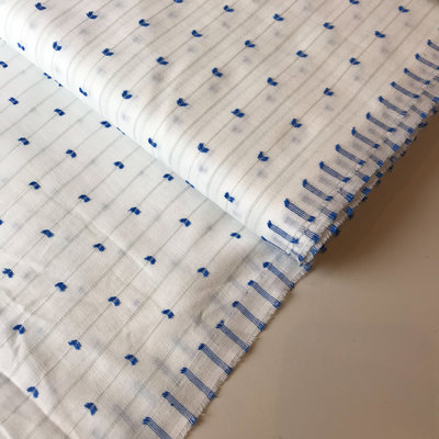 wit met blauw lijntjes - plumetis