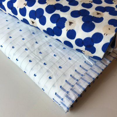 wit met blauw lijntjes - plumetis