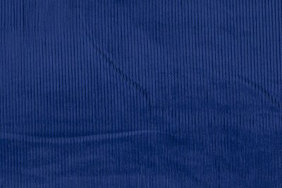 royal blue - corduroy breed