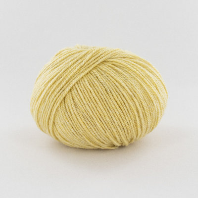 Tartan 3 2025
