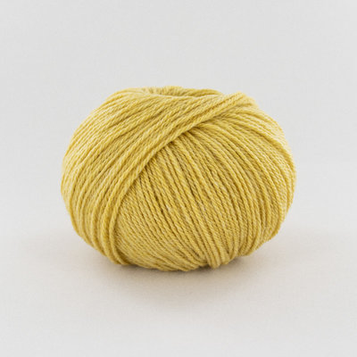 Tartan 3 2026