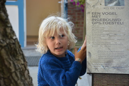 Breipakket trui LYKKE uit LMV