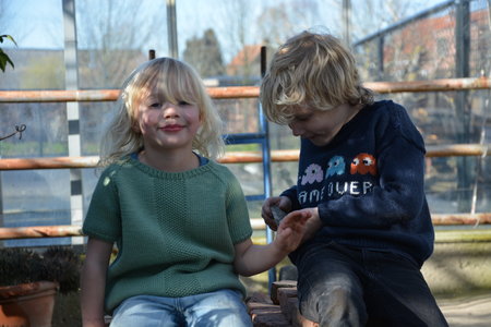 Breipakketje groen T-shirt in rijstpapsteek