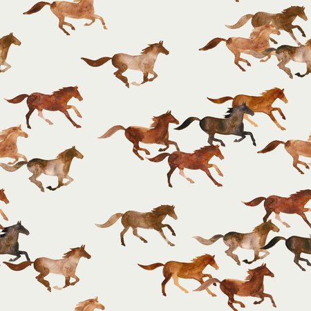 wild horses - jersey